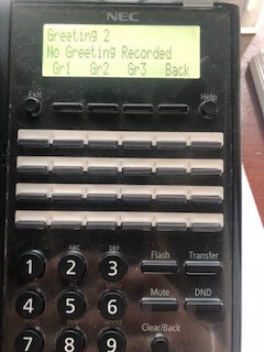 Activate Greeting option on NEC office phone