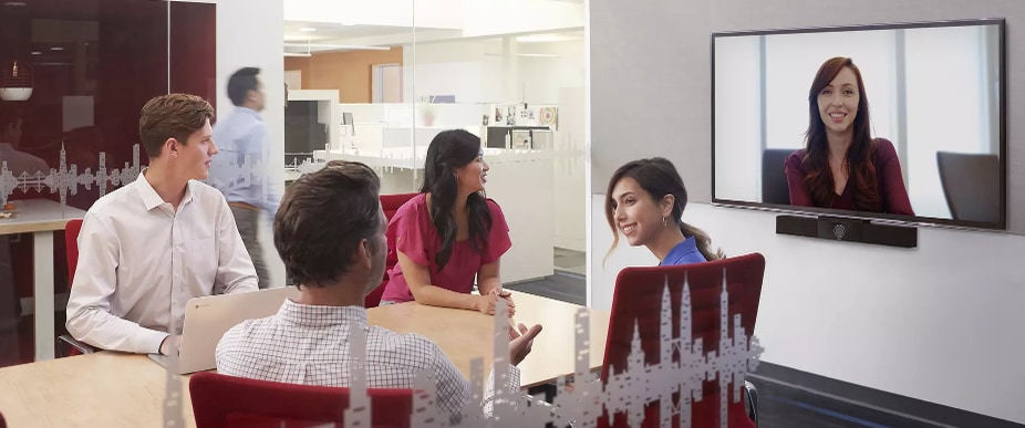 Poly Video Conferencing